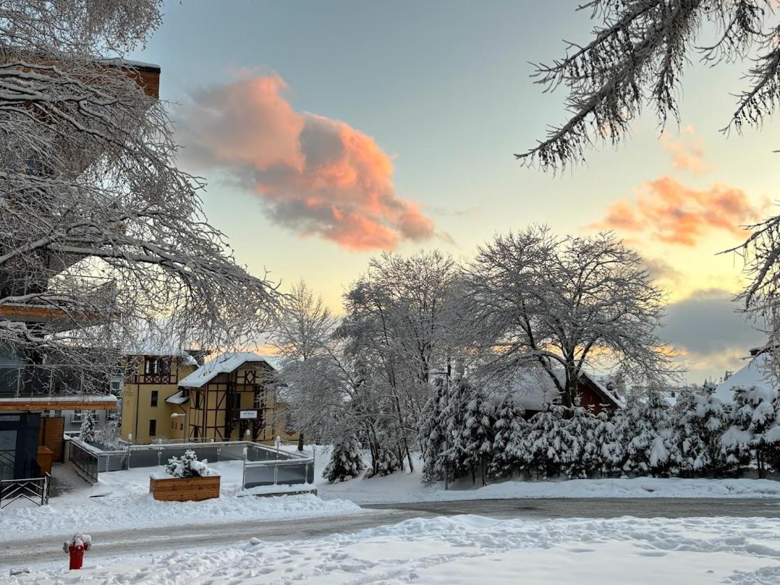 Studio A105 Stary Smokovec Hrebienok Vysoké Tatry Exterior foto
